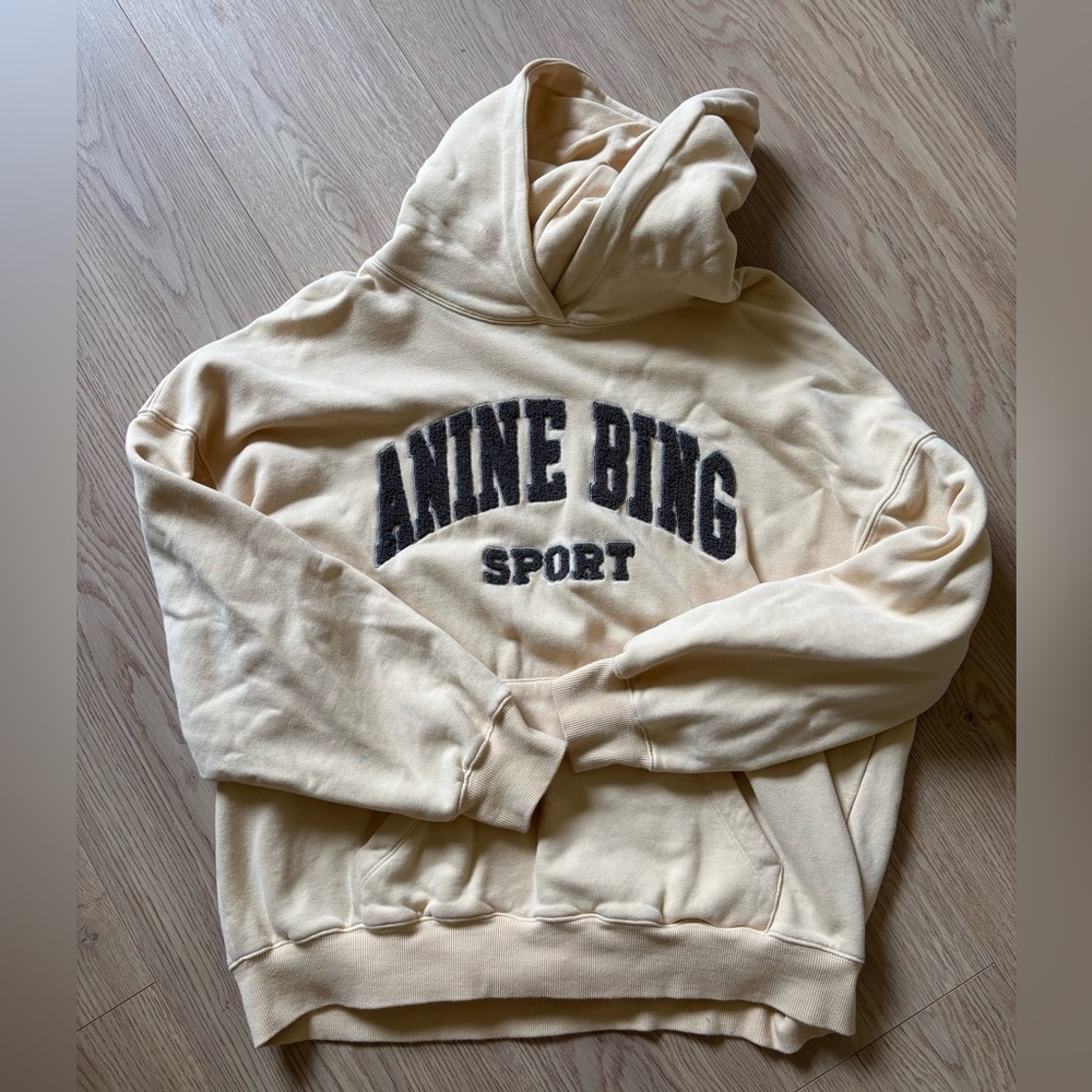 Anine bing hoodie